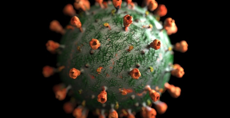 Hepatite aguda grave em crianças e a potencial relação com superantigénios derivados do SARS-CoV-2