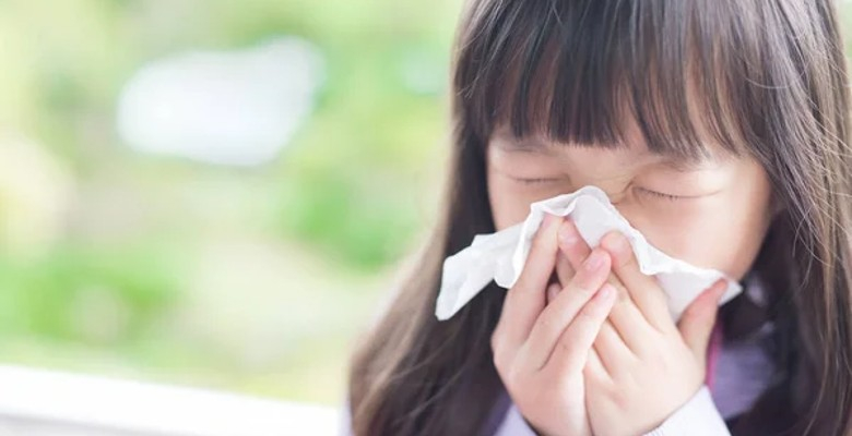 Diversidade e abundância relativa da microbiota das fezes associadas com alergias respiratórias em crianças