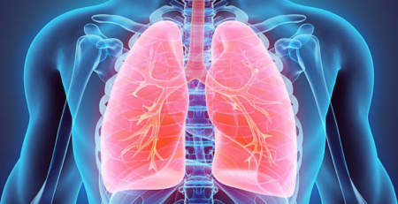 Lung Life: plataforma para melhorar a informação e contribuir para a qualidade de vida dos doentes com DPOC