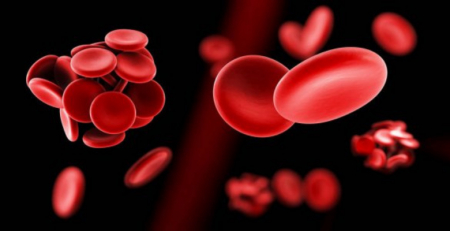 COVID-19: coágulos sanguíneos associados a reação adversa dos anticorpos
